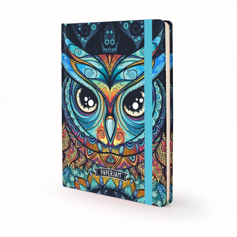 Image shows a Designer Retro - Owl Journal